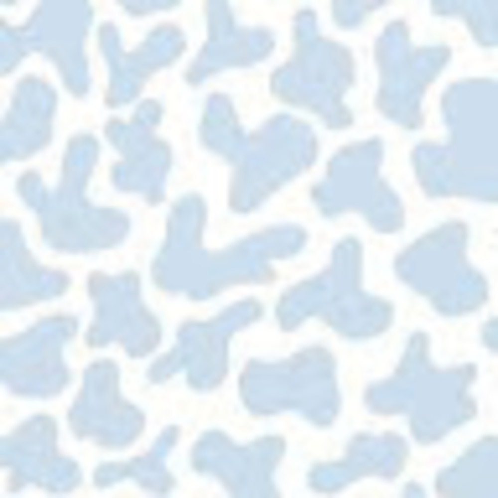 Meet your Posher, Sarina